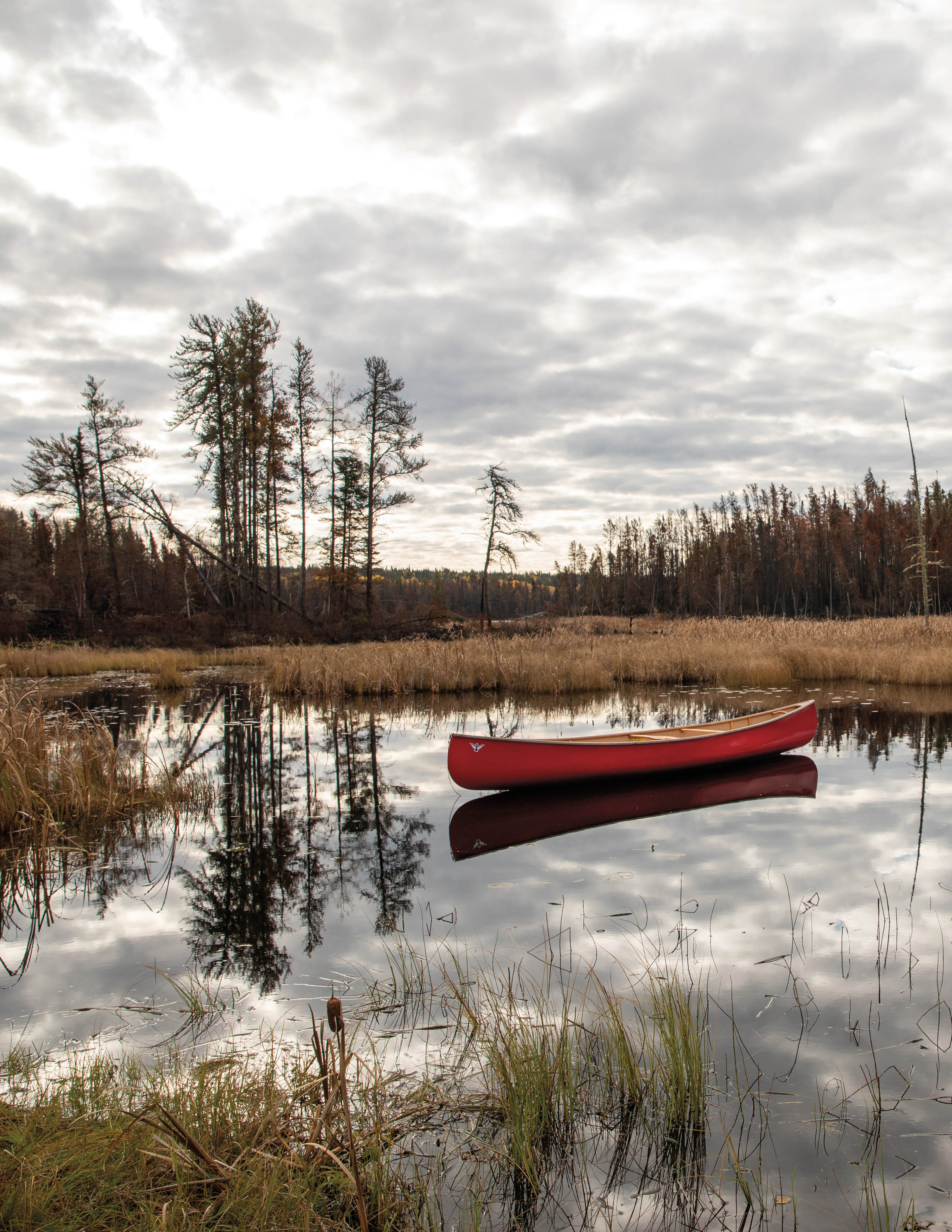 Un canoë sur un lac