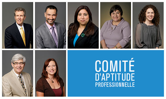 Comité d’aptitude professionnelle