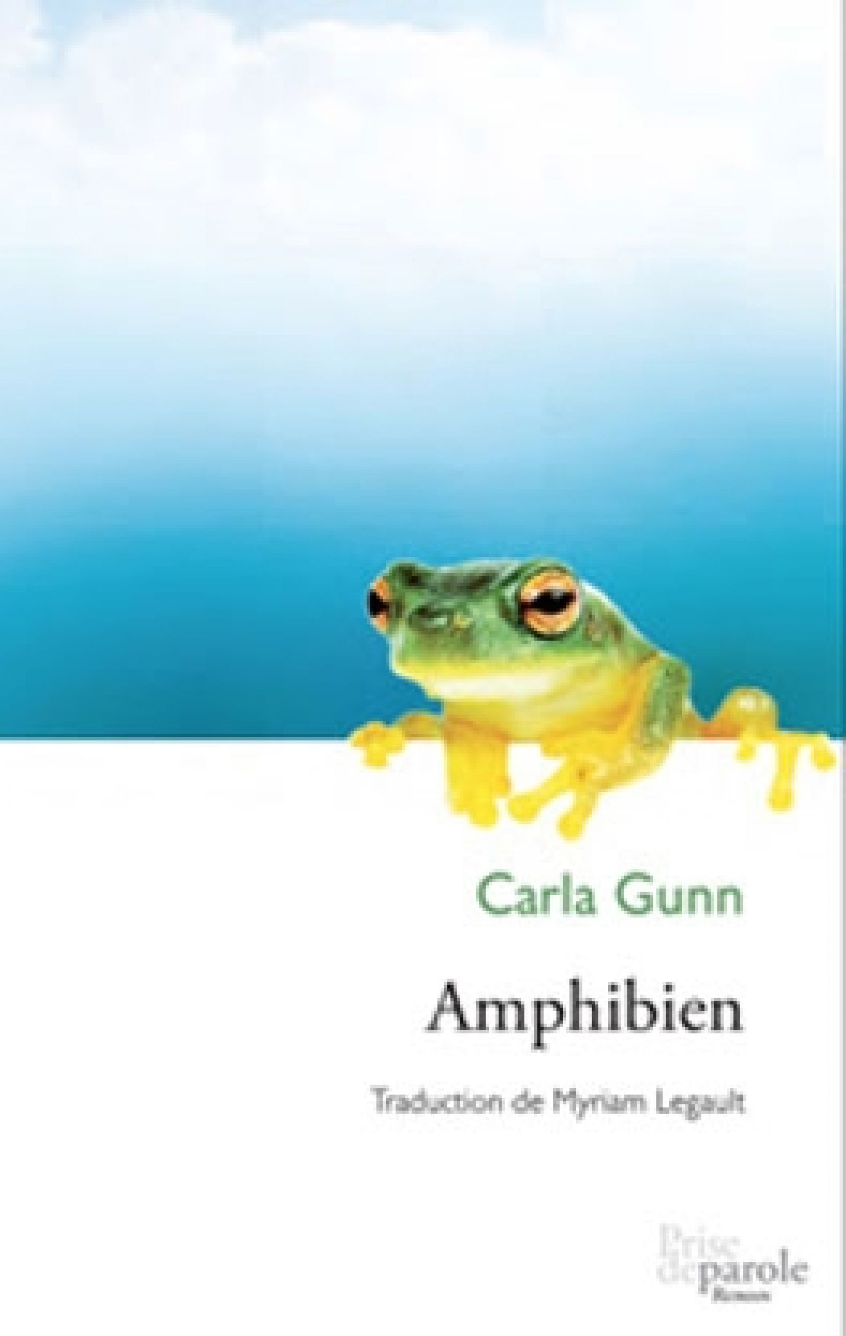 Illustration de la couverture du roman Amphibien qui montre une grenouille verte aux pattes jaunes contre un ciel bleu.