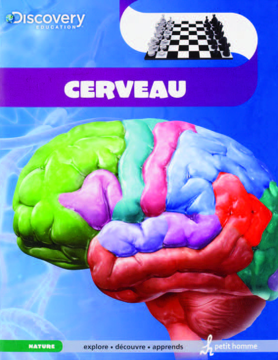 Illustration de la couverture de l’ouvrage Cerveau où figurent la représentation d’un cerveau en plusieurs couleurs et un échiquier. 