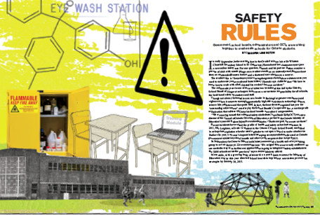 An image of an article from 'Professionally Speaking' titled, 'Safety Rules'.