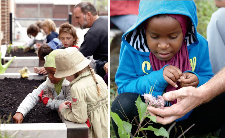 A photo of two young students planting seeds in a bin of dirt and a photo of a young student looking at a flower