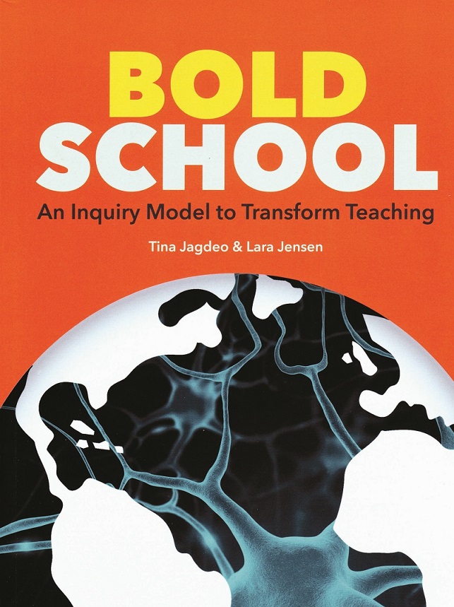 Image of a book cover of 'Bold School'. The cover is an illustration of a globe.