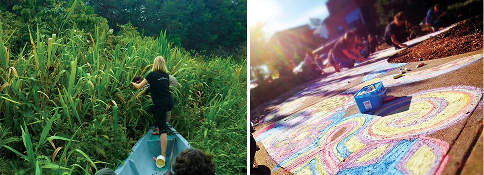 Photo of a conservation biology trip to the Amazon and the chalk mural project in Kitchener-Waterloo, Ont.